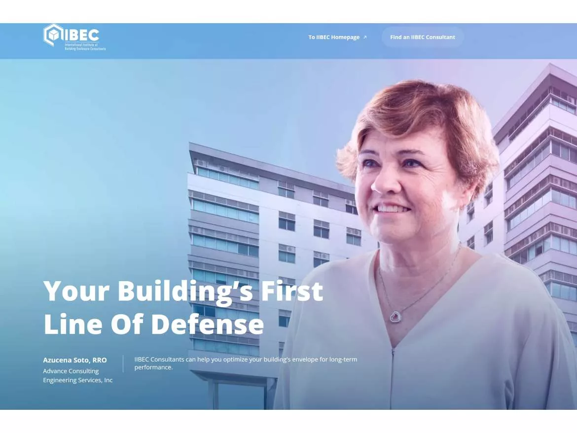 IIBEC consultatns.JPG